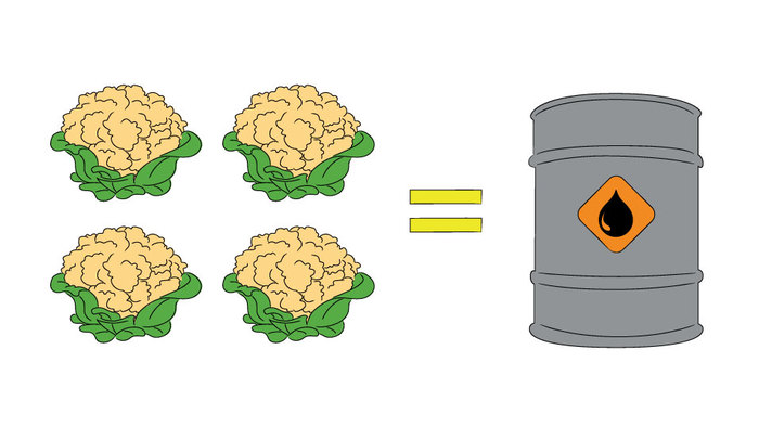 canadian-loonie-cauliflower