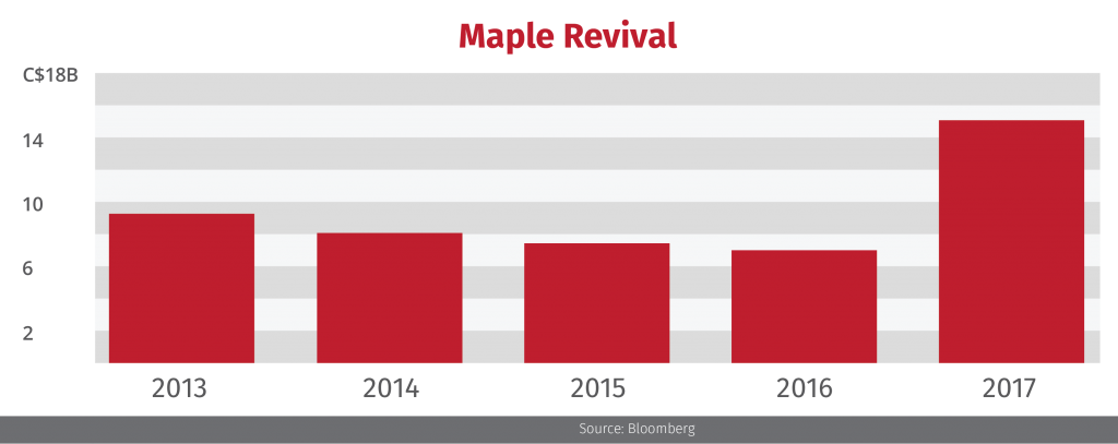 maple revival